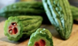 吃瓜通道什么意思,网络热议背后的真相与影响