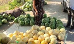 田园吃瓜文案,轻松一夏，吃瓜文案大揭秘！