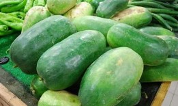 吃瓜隆尧多,揭秘当地美食背后的故事与魅力