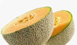 汕尾新鲜哈密瓜推荐吃,夏日清新，甜蜜滋味推荐指南