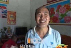 石狮吃瓜事件始末,一场网络热议背后的真相与反思