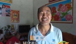 石狮吃瓜事件始末,一场网络热议背后的真相与反思