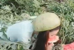 美丽姐吃瓜,揭秘娱乐圈幕后故事