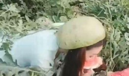 美丽姐吃瓜,揭秘娱乐圈幕后故事