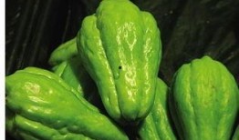 流产后吃佛手瓜,营养美味两不误