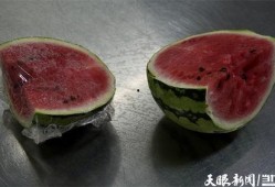 吃瓜吃出细菌视频,吃瓜也能吃出细菌？揭秘瓜果安全卫生知识