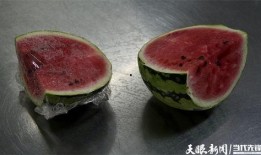 吃瓜吃出细菌视频,吃瓜也能吃出细菌？揭秘瓜果安全卫生知识