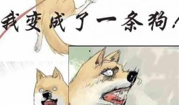 在线吃老板的瓜小说