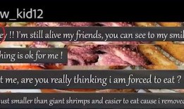 吃瓜第一线阵地,揭秘娱乐圈幕后风云