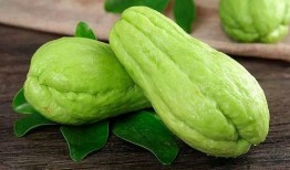 gamini吃瓜,揭秘娱乐圈的甜蜜与苦涩