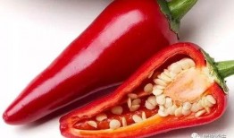 什么瓜撒辣椒吃,揭秘“什么瓜撒辣椒吃”的独特风味