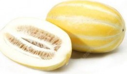 吃瓜嘴巴发麻,揭秘神秘食物背后的刺激真相