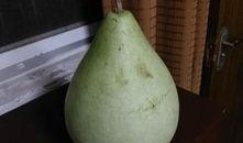 急诊在线吃瓜,揭秘医疗现场的热辣“吃瓜”故事