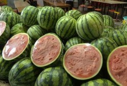 利元亨吃瓜,揭秘瓜界新宠，探寻瓜农致富之路