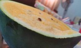 奶酱吃瓜,揭秘娱乐圈幕后故事