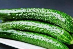 春季适合有什么瓜吃,瓜果飘香——春季必尝的时令瓜类推荐