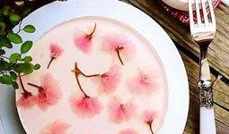 大家吃瓜我吃蛋糕,见证吃瓜群众与甜蜜蛋糕的和谐共舞