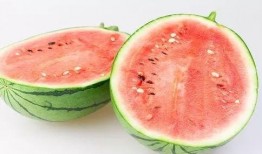 阿呆阿瓜吃饼干,阿呆阿瓜的饼干冒险之旅