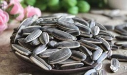 吃瓜和吃瓜子图片区别,视觉差异下的美味探索