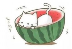 啃球吃瓜,揭秘娱乐圈的甜蜜与苦涩