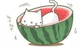 啃球吃瓜,揭秘娱乐圈的甜蜜与苦涩