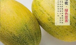 哈密吃瓜 哪里好,探寻最佳瓜果品尝地