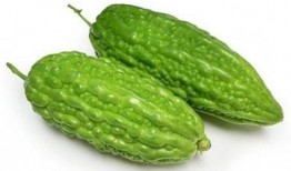 小盆同学吃瓜,揭秘校园里的那些“瓜”