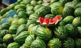 髙瓜怎么吃,解锁美味新境界