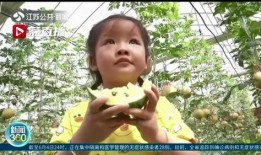 江苏情侣吃瓜,揭秘背后真相与网络舆论风暴