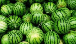 吃瓜美少女湖南,吃瓜美少女的美食之旅