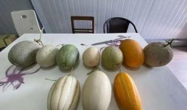 新浪吃瓜加班,揭秘加班背后的真相与反思