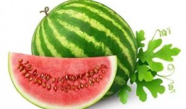 小盆同学吃瓜,揭秘校园里的那些“瓜”