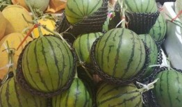 南靖吃瓜,探寻福建土楼背后的美食传奇