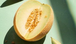 吃凤爪可以吃哈密瓜吗,跨界美食的奇妙邂逅