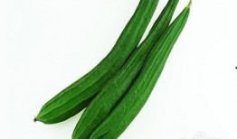 吃瓜少女爱吃瓜,吃瓜少女的瓜田奇遇记