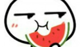 综艺吃瓜鸭,揭秘娱乐圈幕后故事