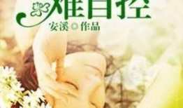 呆瓜吃瓜小说免费阅读,免费畅读小说的奇幻之旅