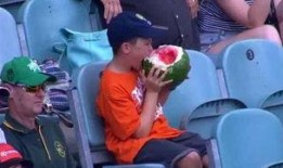 澳洲人吃瓜群众,揭秘本土热门话题背后的真相