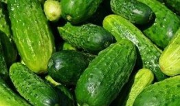 婷儿吃瓜记录,揭秘娱乐圈那些事儿