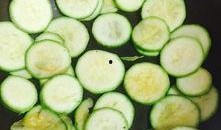 保定吃瓜视频大全