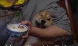 吃大瓜的医生,吃大瓜的医生背后的故事