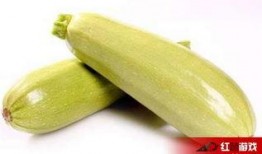 茭瓜产妇可吃,营养滋补，助力产后恢复