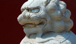 石狮吃瓜事件始末,一场网络热议背后的真相与反思