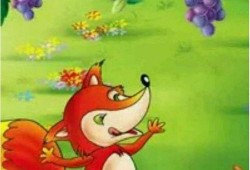 狐狸不苦吃瓜,探寻生活中的甜蜜与苦涩