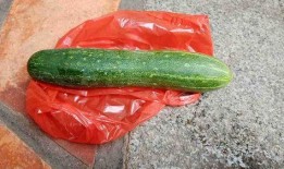 现在有什么瓜可以吃,盘点时下热门的消暑美味