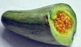 声控吃牛角瓜,解锁牛角瓜的神秘美味之旅