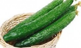 国外吃瓜pdf美区,国外PDF现象背后的故事