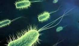 吃瓜吃出细菌视频,吃瓜也能吃出细菌？揭秘瓜果安全卫生知识