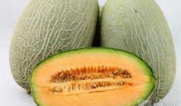 哈密瓜整个削皮吃,哈密瓜整皮食用新体验