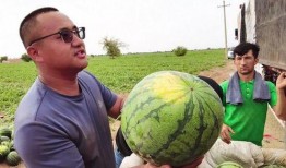 吃瓜真主,网络红人的崛起与影响力